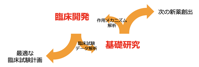 基礎研究と臨床開発の緊密な連携サイクル